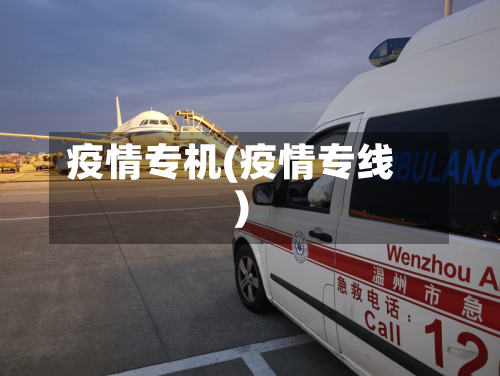 疫情专机(疫情专线)