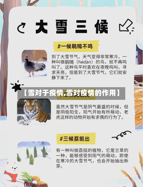 【雪对于疫情,雪对疫情的作用】