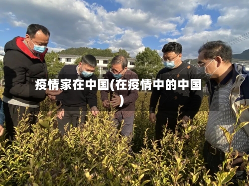 疫情家在中国(在疫情中的中国)