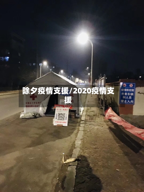 除夕疫情支援/2020疫情支援-第1张图片